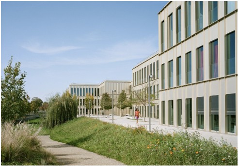 afbeelding binnen de regeling