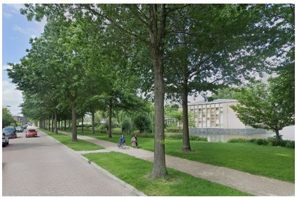 afbeelding binnen de regeling