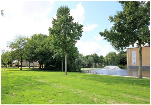 afbeelding binnen de regeling