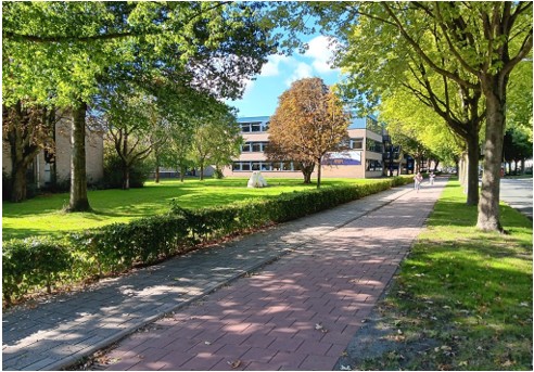 afbeelding binnen de regeling