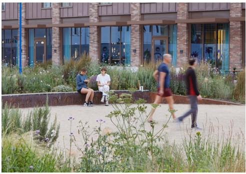 afbeelding binnen de regeling