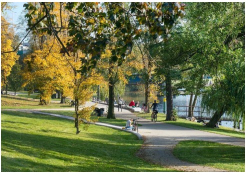 afbeelding binnen de regeling