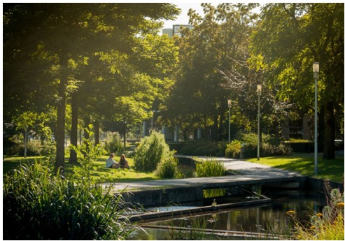 afbeelding binnen de regeling