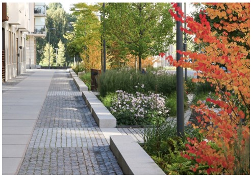 afbeelding binnen de regeling