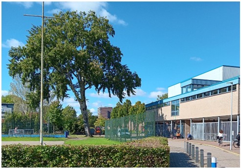 afbeelding binnen de regeling