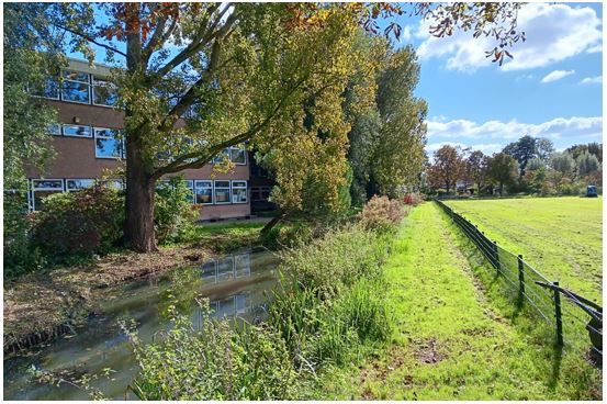 afbeelding binnen de regeling