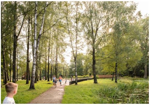 afbeelding binnen de regeling