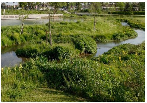 afbeelding binnen de regeling