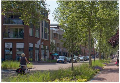 afbeelding binnen de regeling