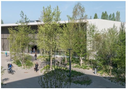 afbeelding binnen de regeling