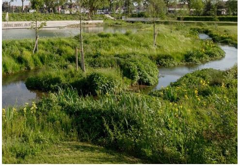 afbeelding binnen de regeling