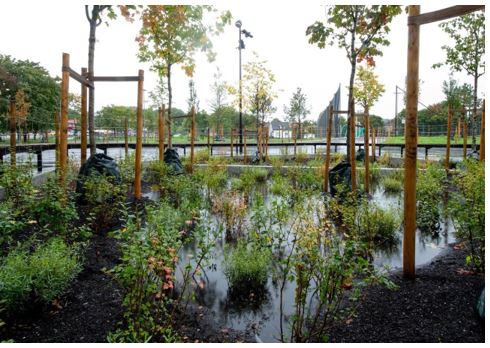 afbeelding binnen de regeling