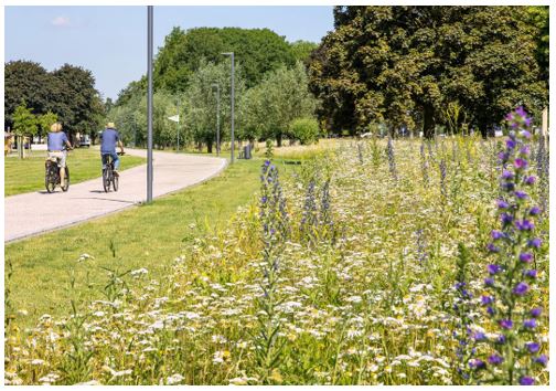 afbeelding binnen de regeling