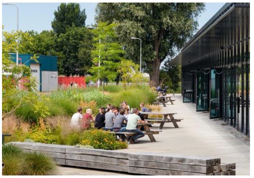 afbeelding binnen de regeling