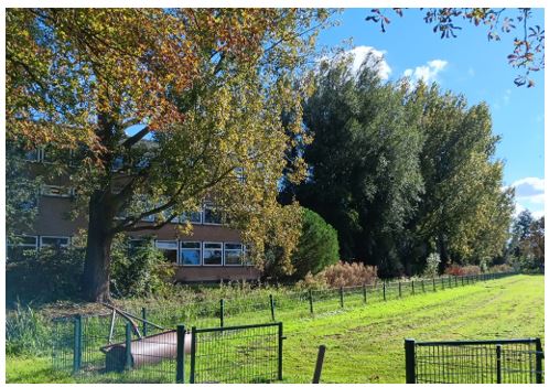 afbeelding binnen de regeling