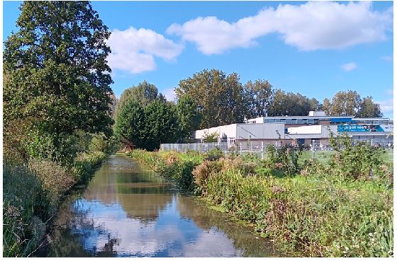 afbeelding binnen de regeling