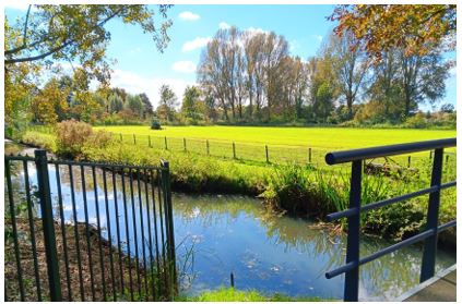 afbeelding binnen de regeling