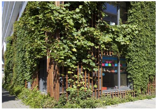 afbeelding binnen de regeling