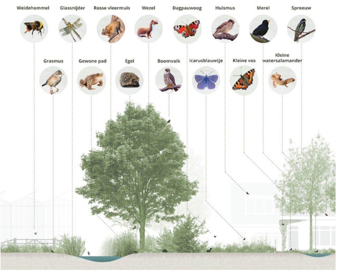 afbeelding binnen de regeling