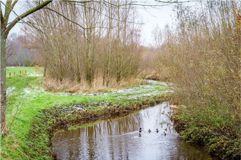 afbeelding binnen de regeling