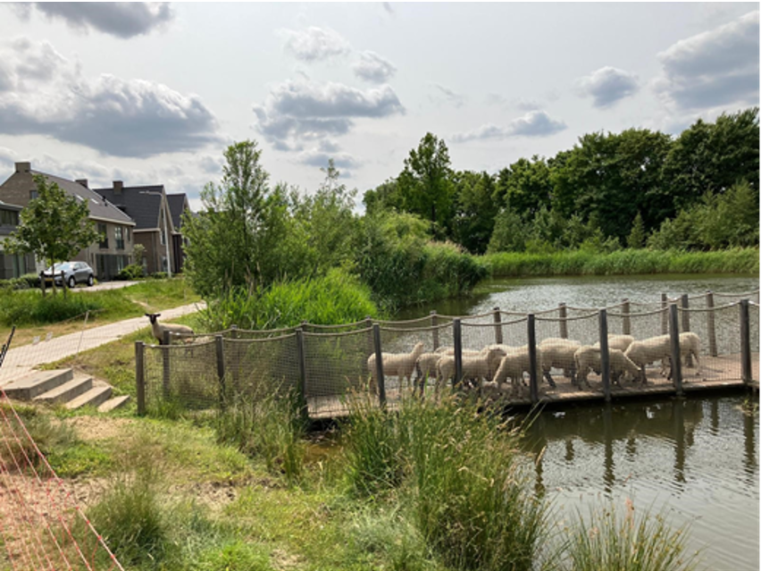 afbeelding binnen de regeling