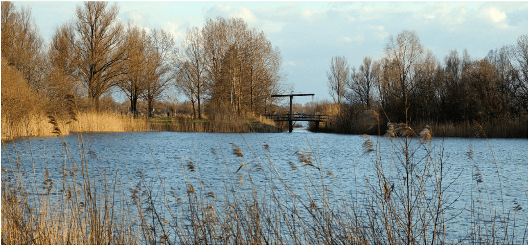 afbeelding binnen de regeling