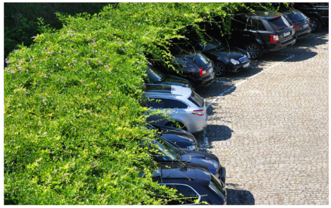 afbeelding binnen de regeling