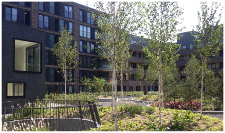 afbeelding binnen de regeling