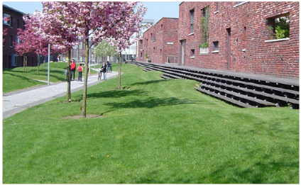 afbeelding binnen de regeling