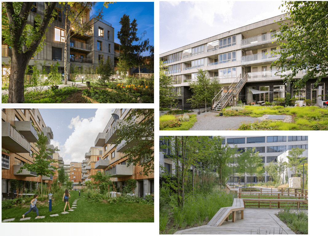 afbeelding binnen de regeling