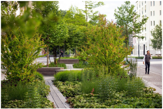 afbeelding binnen de regeling