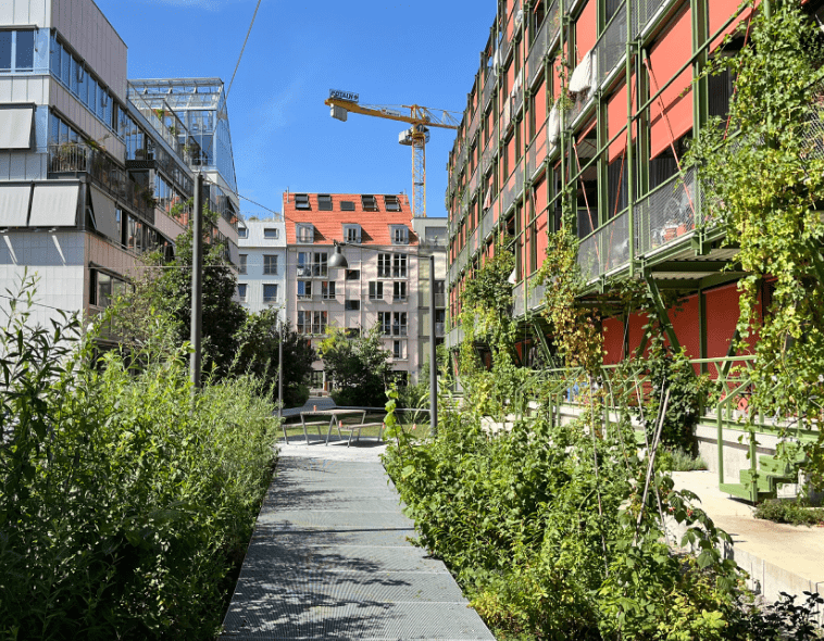 afbeelding binnen de regeling