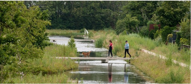 afbeelding binnen de regeling