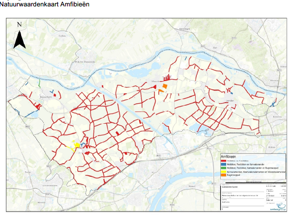 afbeelding binnen de regeling