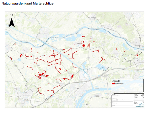 afbeelding binnen de regeling