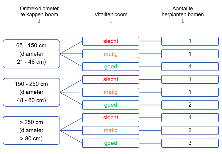 afbeelding binnen de regeling
