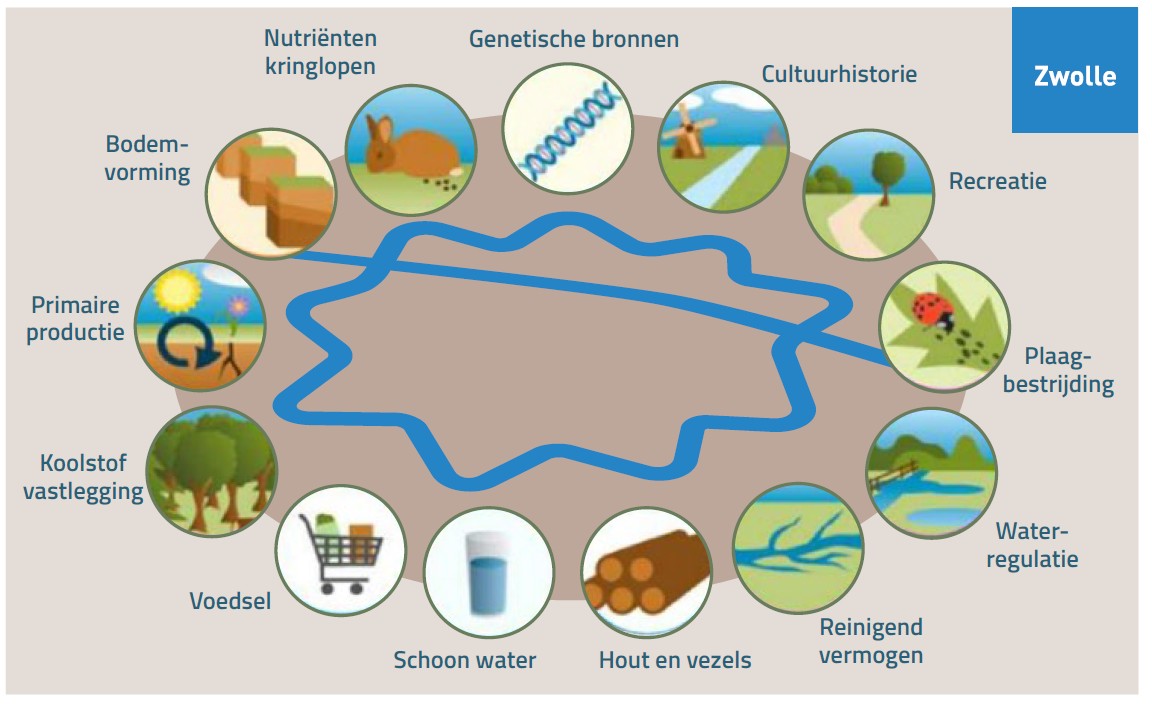afbeelding binnen de regeling