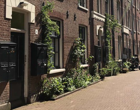 afbeelding binnen de regeling