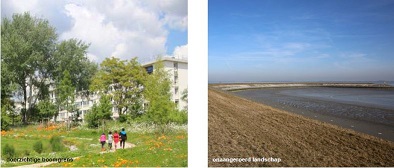 afbeelding binnen de regeling