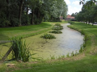 afbeelding binnen de regeling