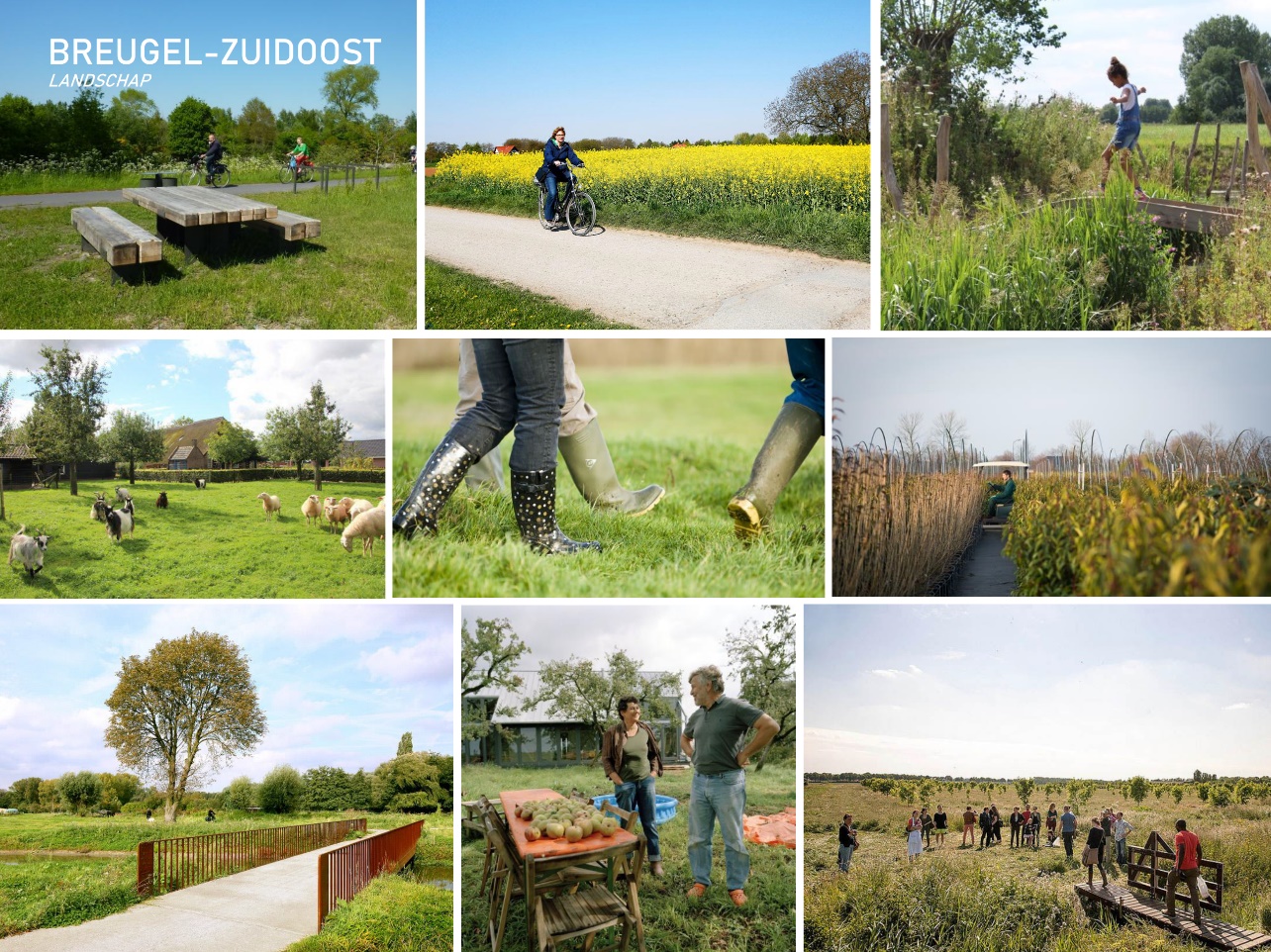 Afbeelding met tekst, gras, buiten, verschillend

Automatisch gegenereerde beschrijving
