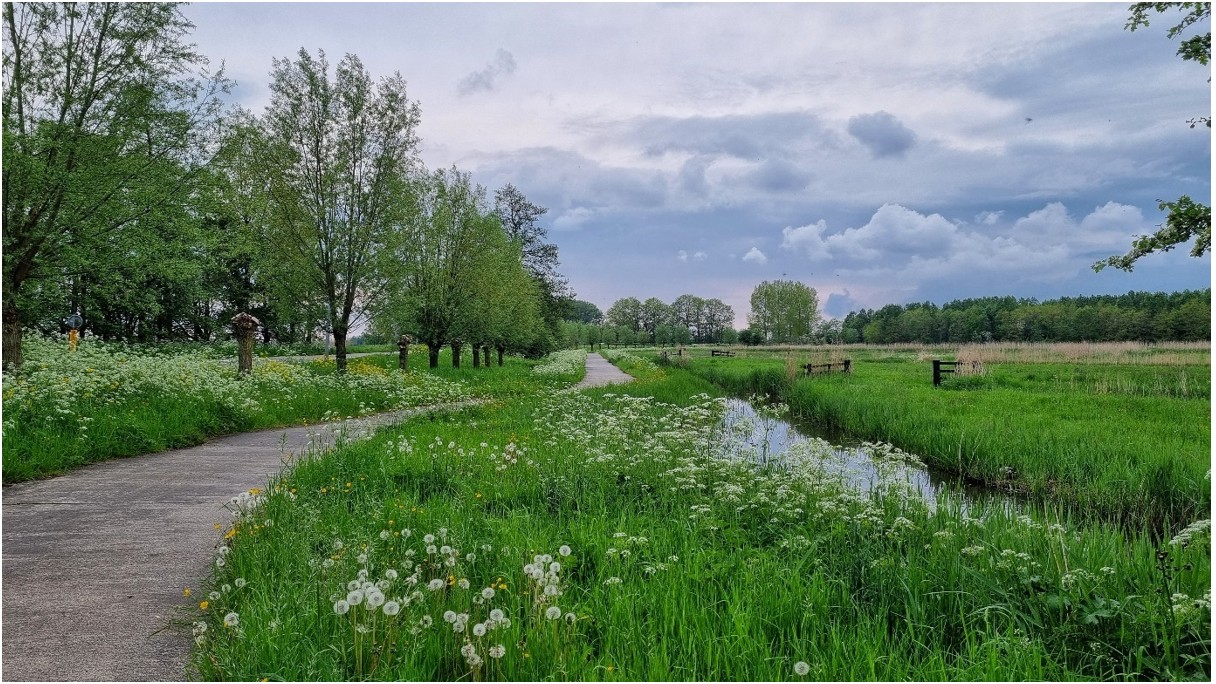 afbeelding binnen de regeling