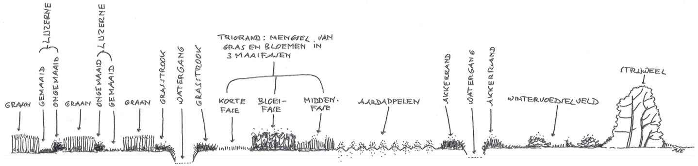 afbeelding binnen de regeling