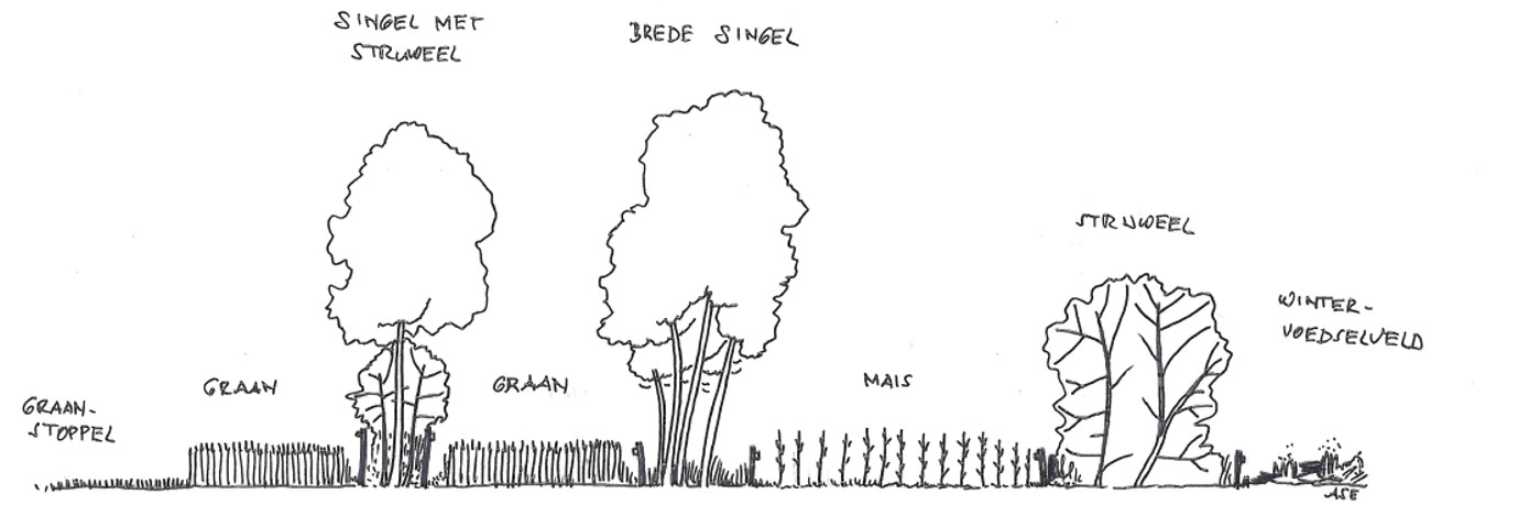 afbeelding binnen de regeling