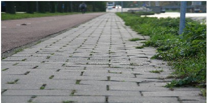afbeelding binnen de regeling