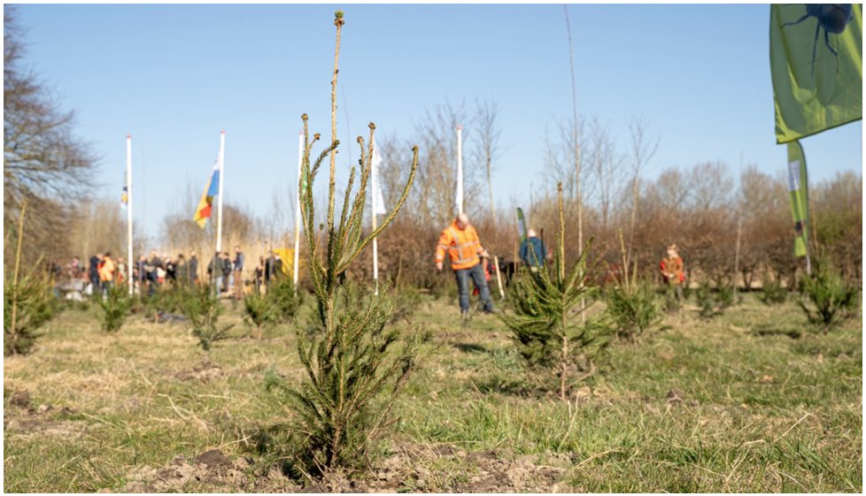 afbeelding binnen de regeling