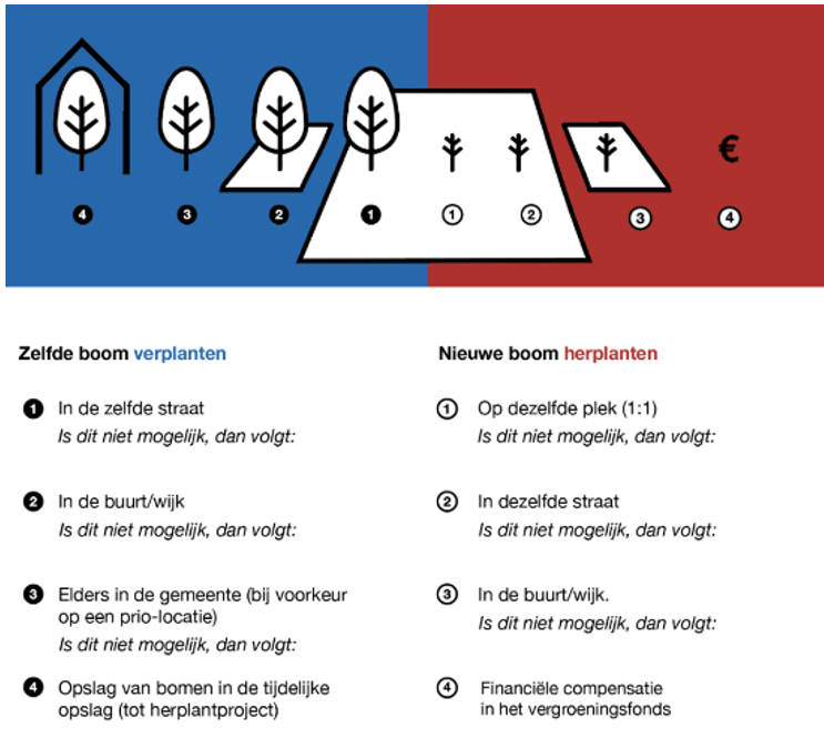 afbeelding binnen de regeling