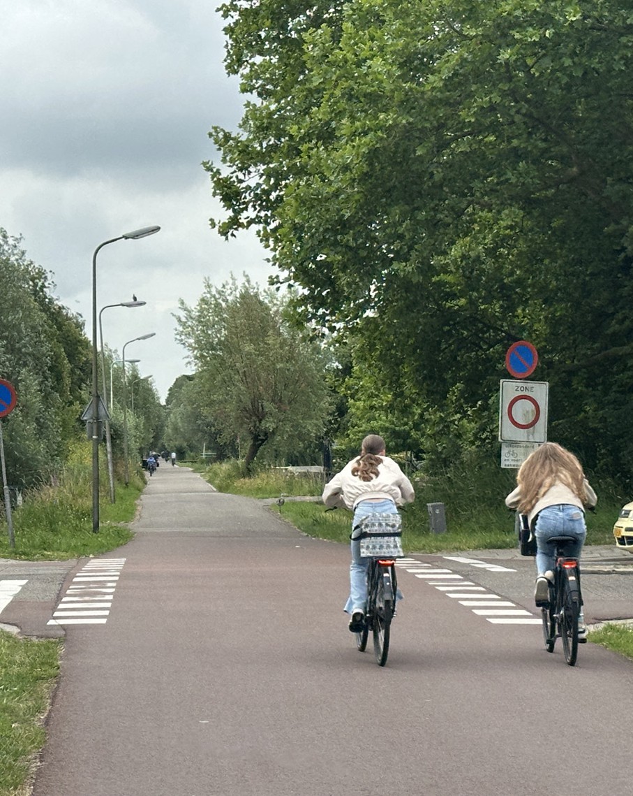 afbeelding binnen de regeling