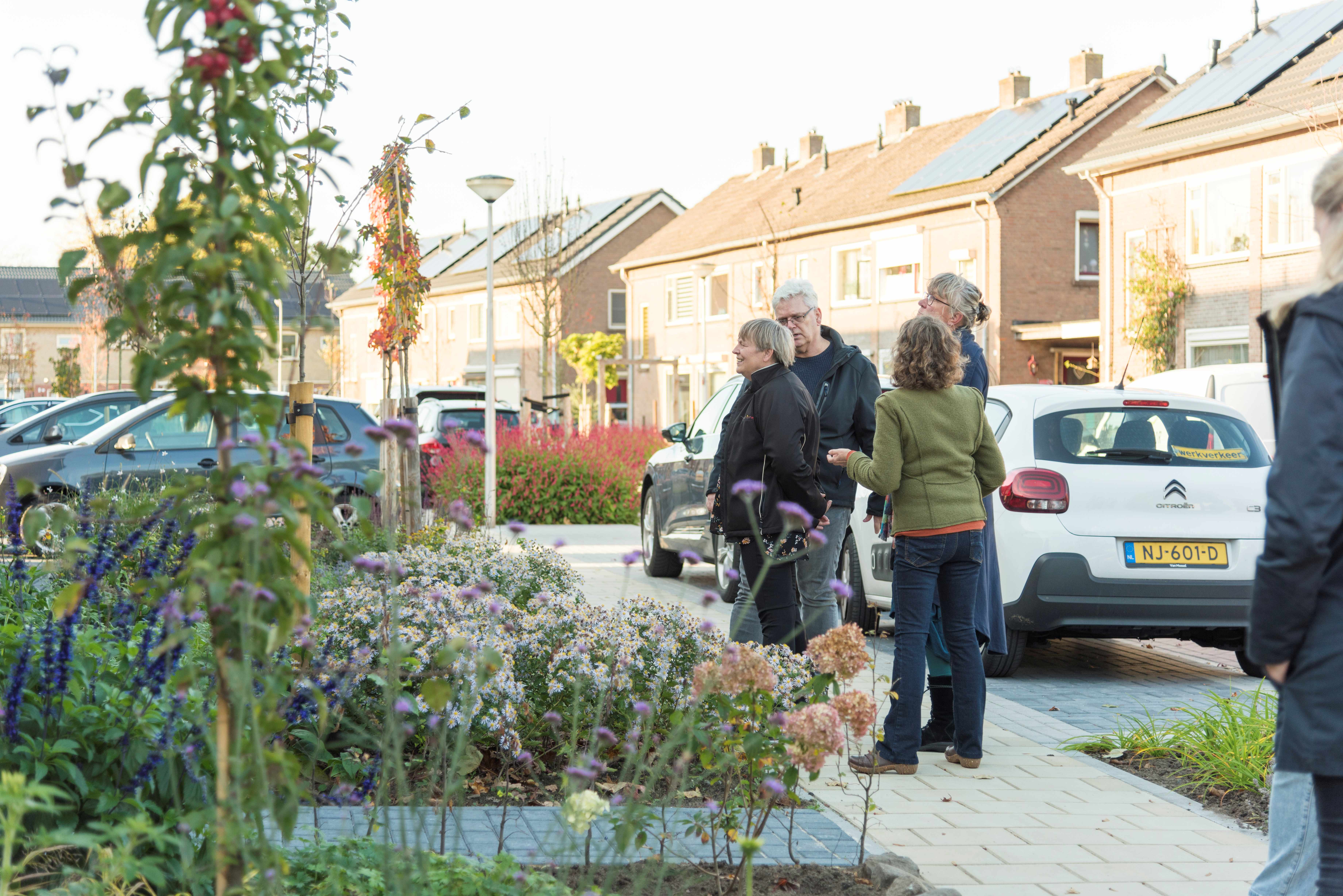 afbeelding binnen de regeling