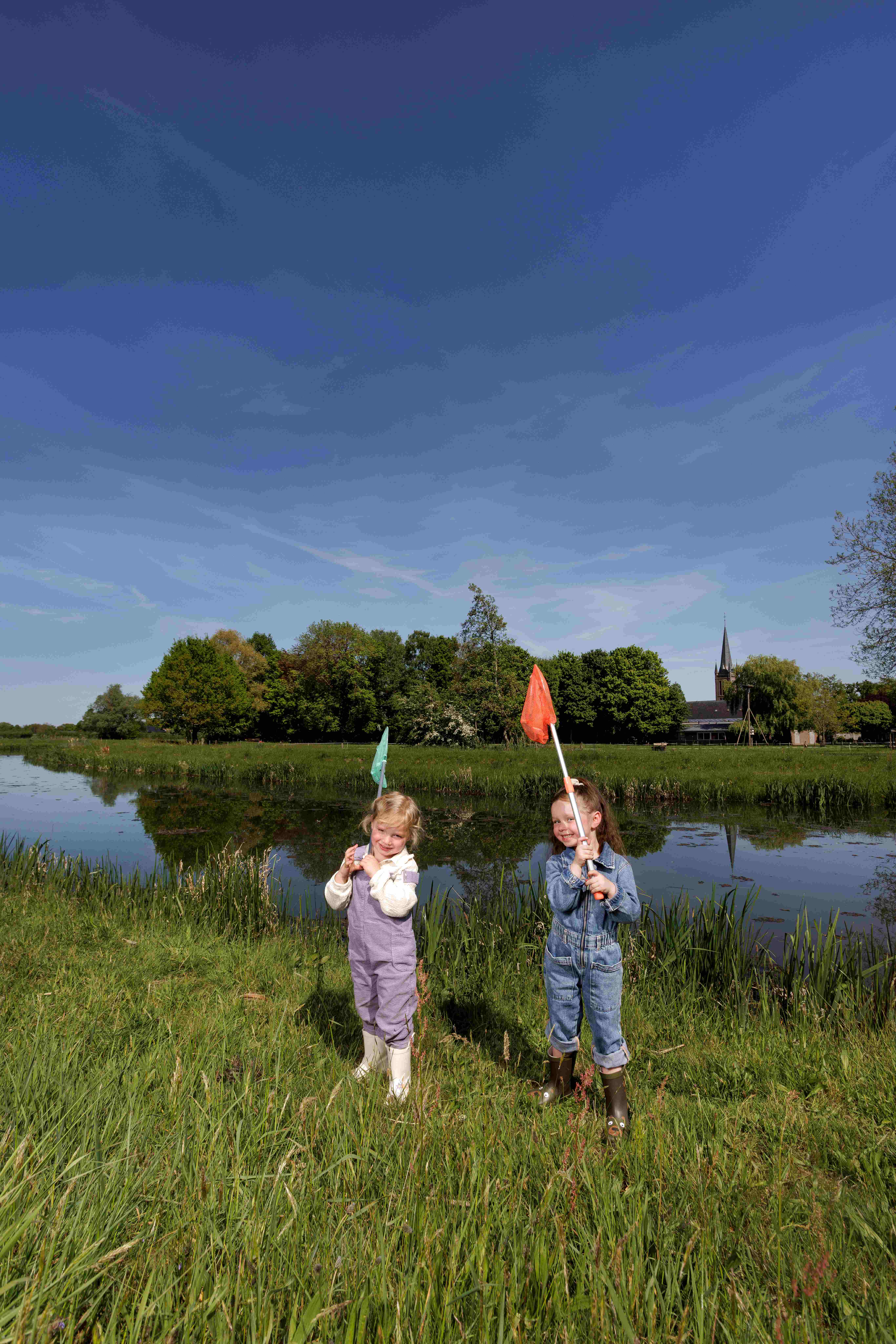 afbeelding binnen de regeling
